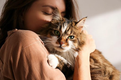 Woman hugging a cat