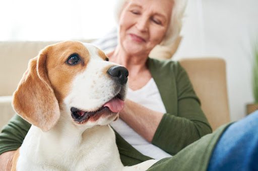 Woman with Support Animal